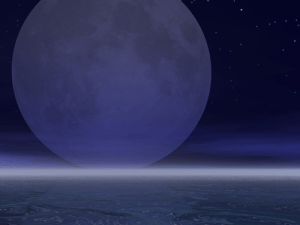 before-the-night-ends