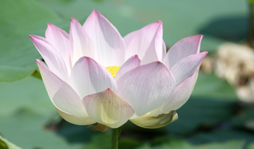 Photoxpress_13109642